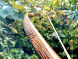 Woodlands Warbow: Natural Plant Stains for Bow Making and Other Crafts