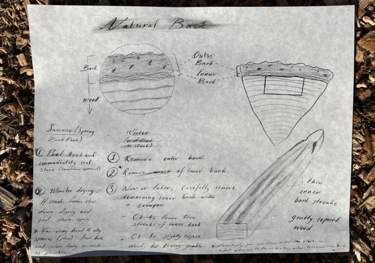 The Back of the Bow, Explained Dan Santana Bows